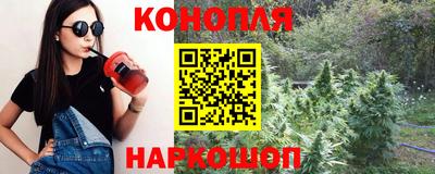 прущие крисы Малгобек